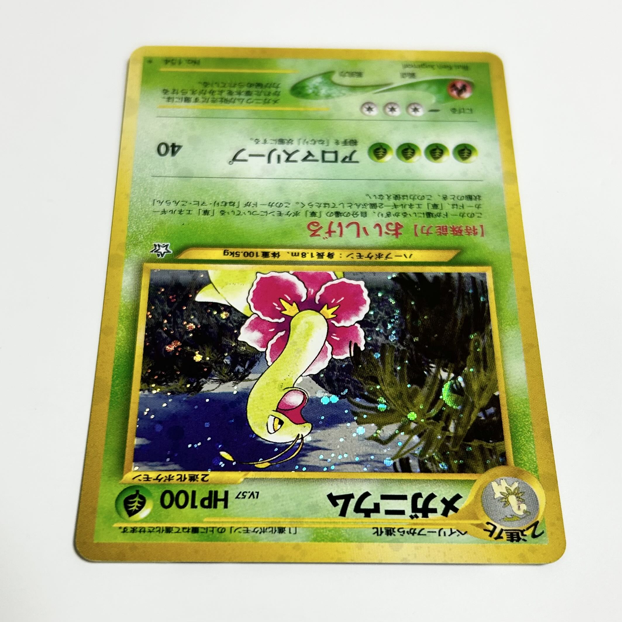 ポケモンカード 旧裏 Neo メガニウム No 154 1枚の通販 naao