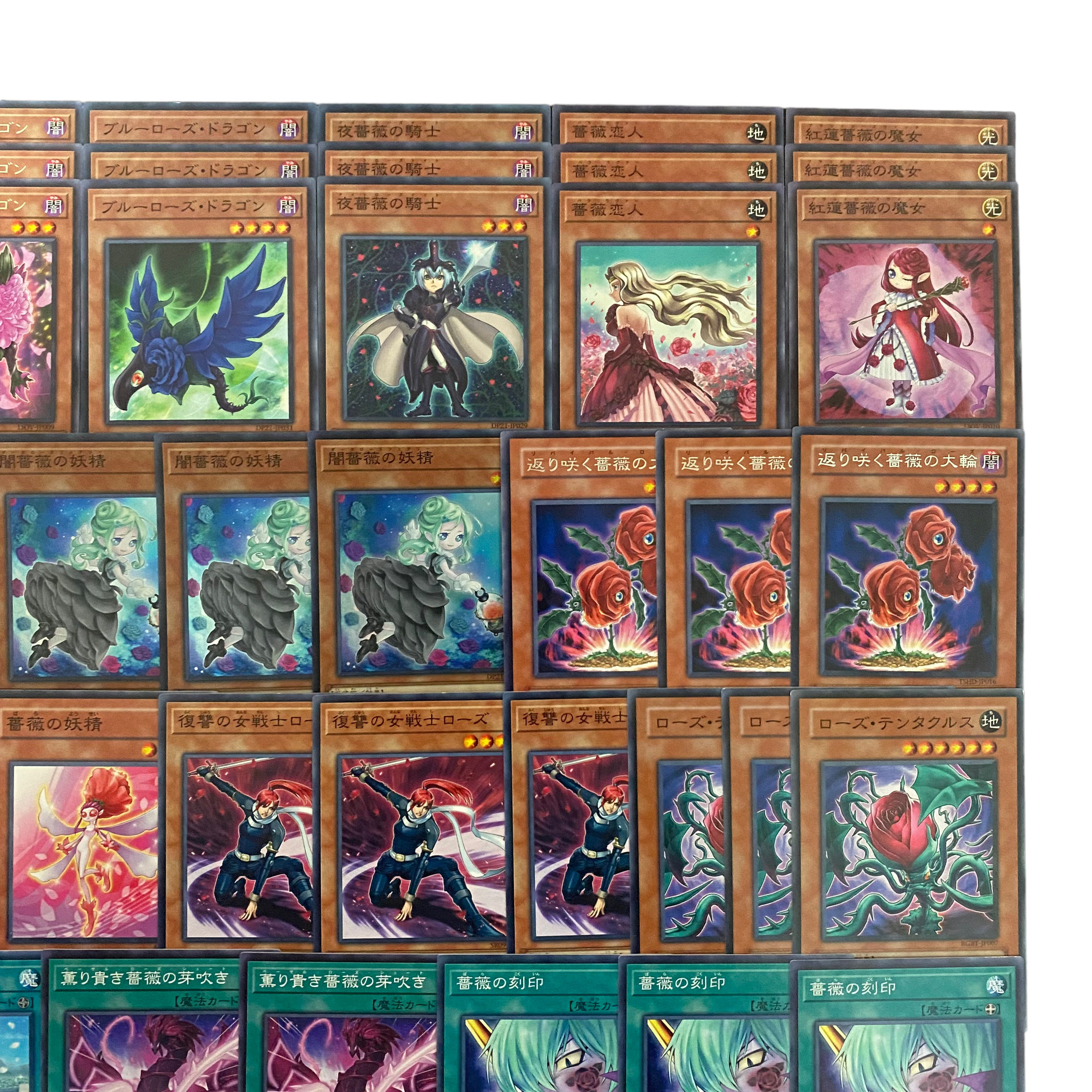 遊戯王 ローズドラゴン 本格構築済みデッキ 黒薔薇 月華竜 ブラッド