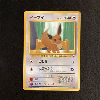 旧裏 イーブイ」の激安通販 | magi