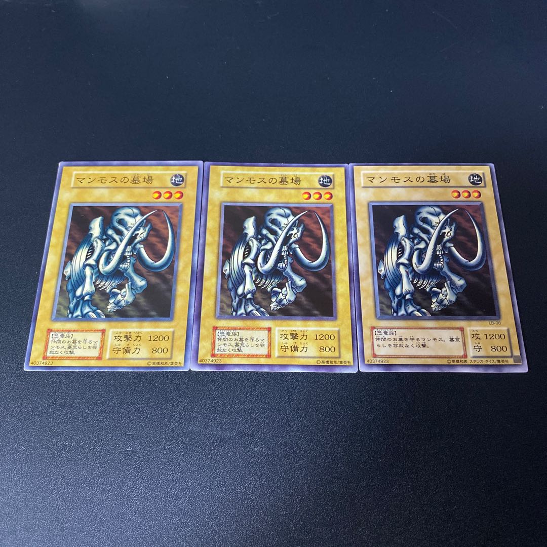 マンモスの墓場 ノーマル JPA16 1枚の通販 青眼白龍（279853406） | magi