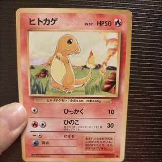 旧裏 ヒトカゲ」の激安通販 | magi