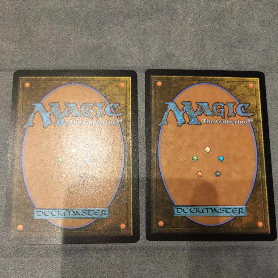 フルアート 洞窟に宝蓄えしドラゴン 日2枚 2枚の通販 ゴダール