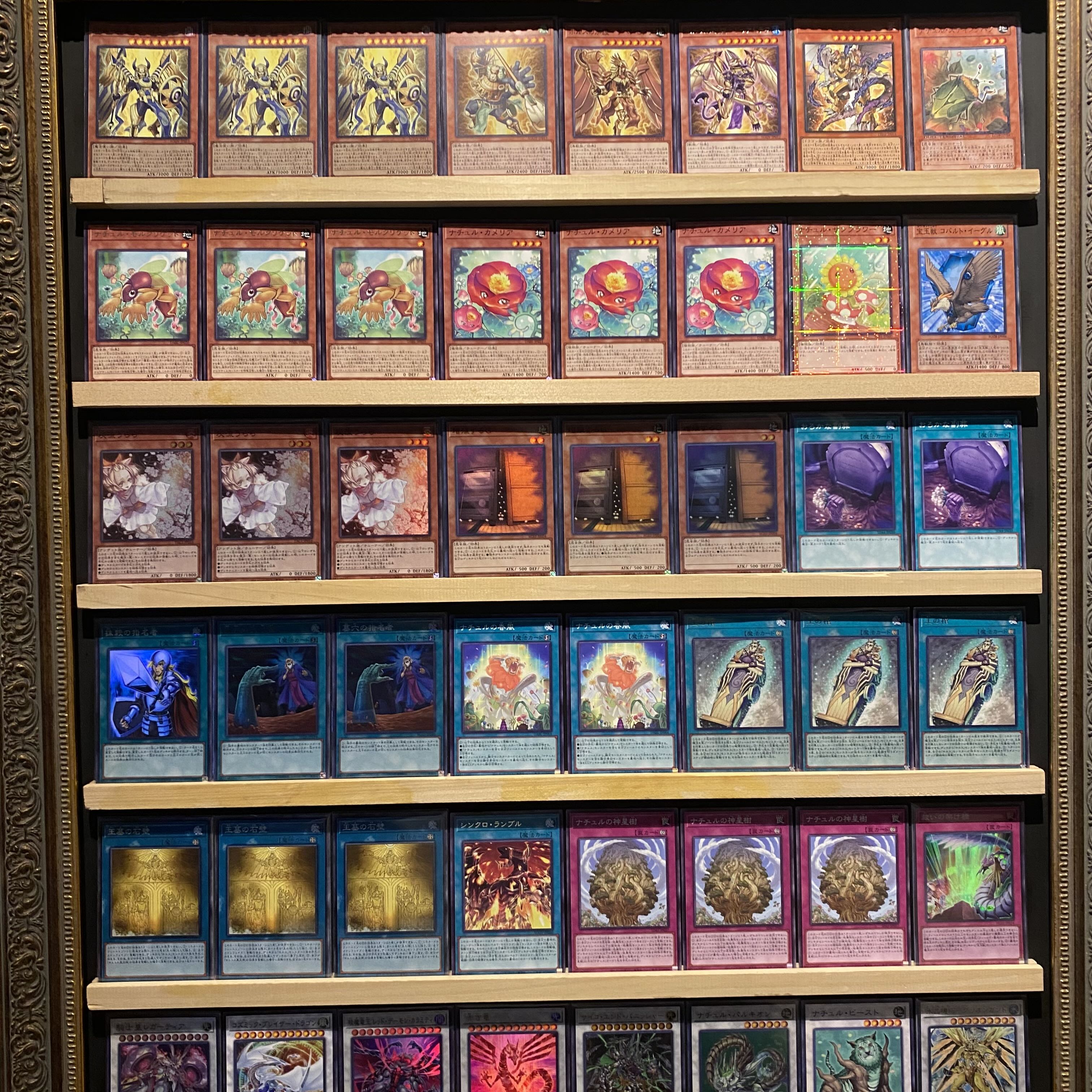 即日発送！大会用【ナチュルホルス】デッキ 遊戯王 ホルスの栄光