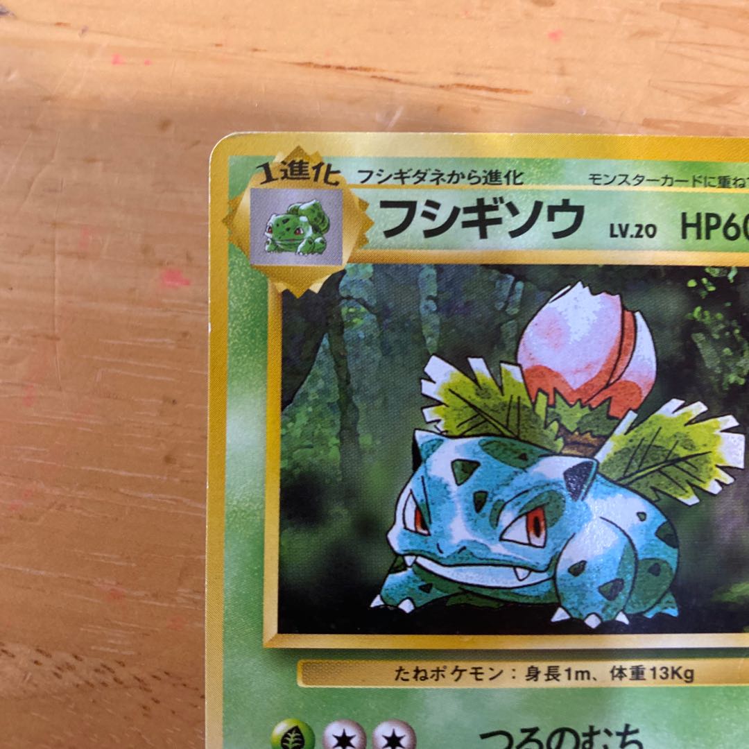 旧裏マークアリ・フシギソウ 1枚の通販 kei（495796176） | magi