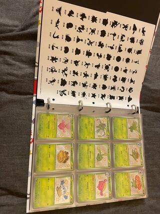 シャイニートレジャーs レアの色違い129種類 コンプリートセット