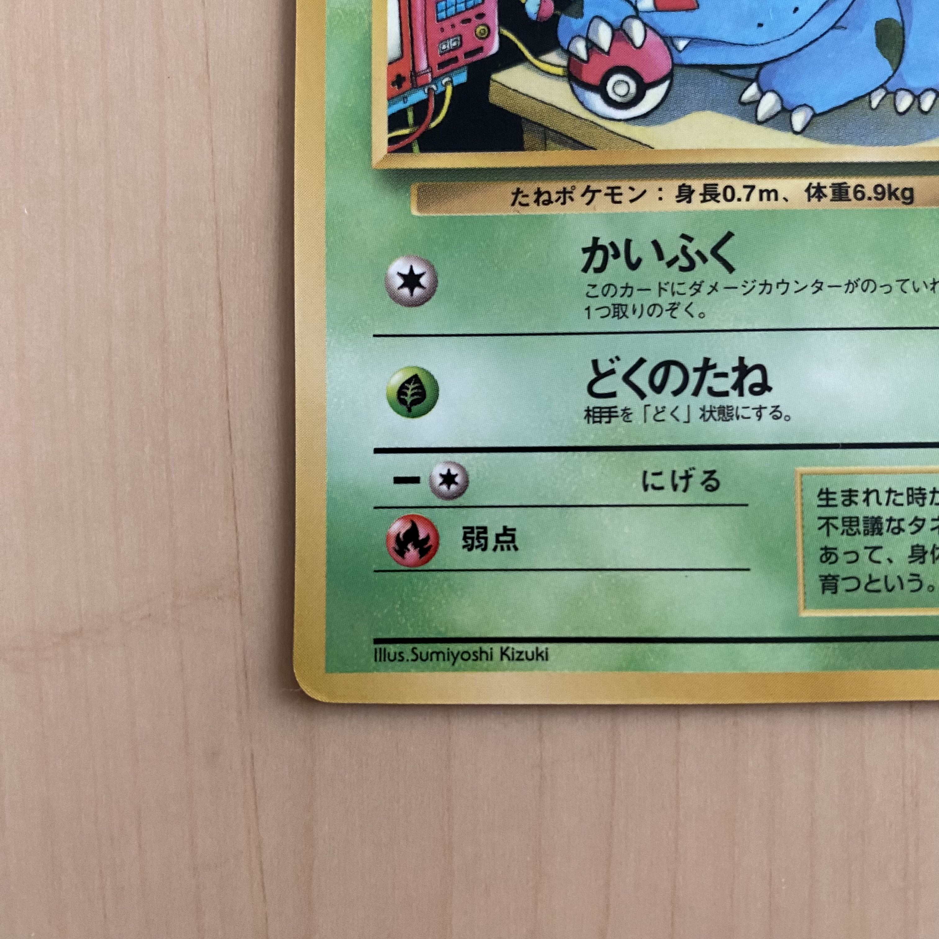 フシギダネ 旧裏 1枚の通販 超高校級の断捨離（70937412） | magi