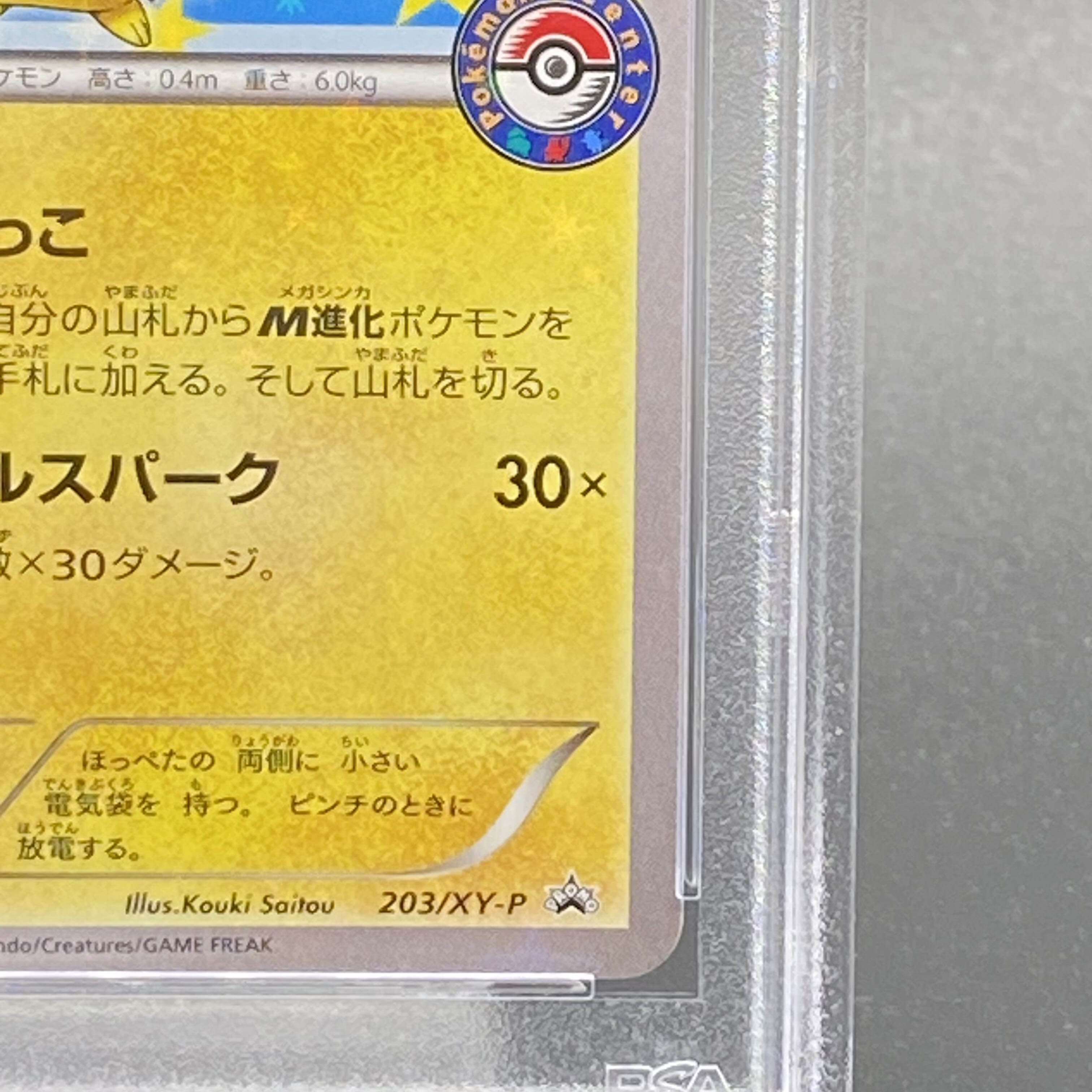 PSA10】ポンチョを着たピカチュウ PROMO 203/XY-P 1枚の通販 土日祝休