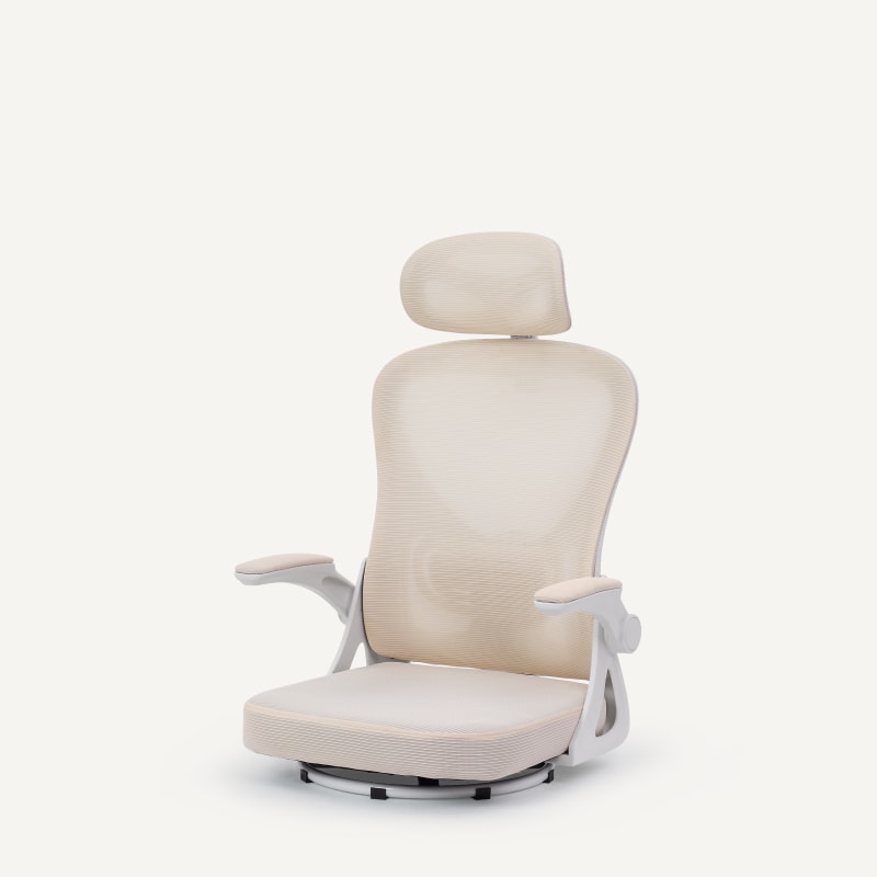 オフィスチェア・OC0 | FlexiSpot 公式ストア