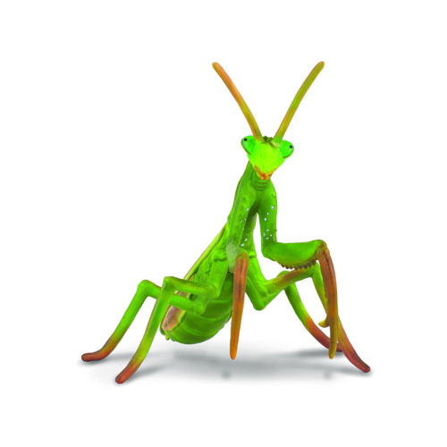 88351 Collecta【カマキリ】｜動物・恐竜フィギュアのZOOO!