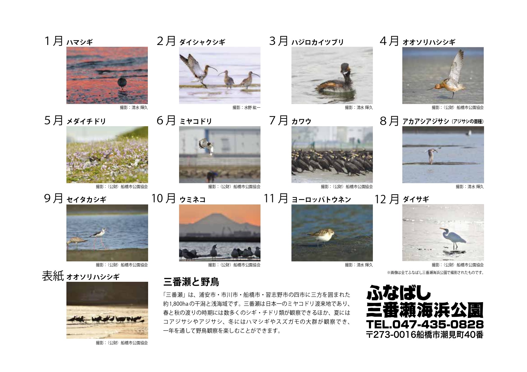 お知らせ｜野鳥カレンダー2024のオンライン販売を開始しました