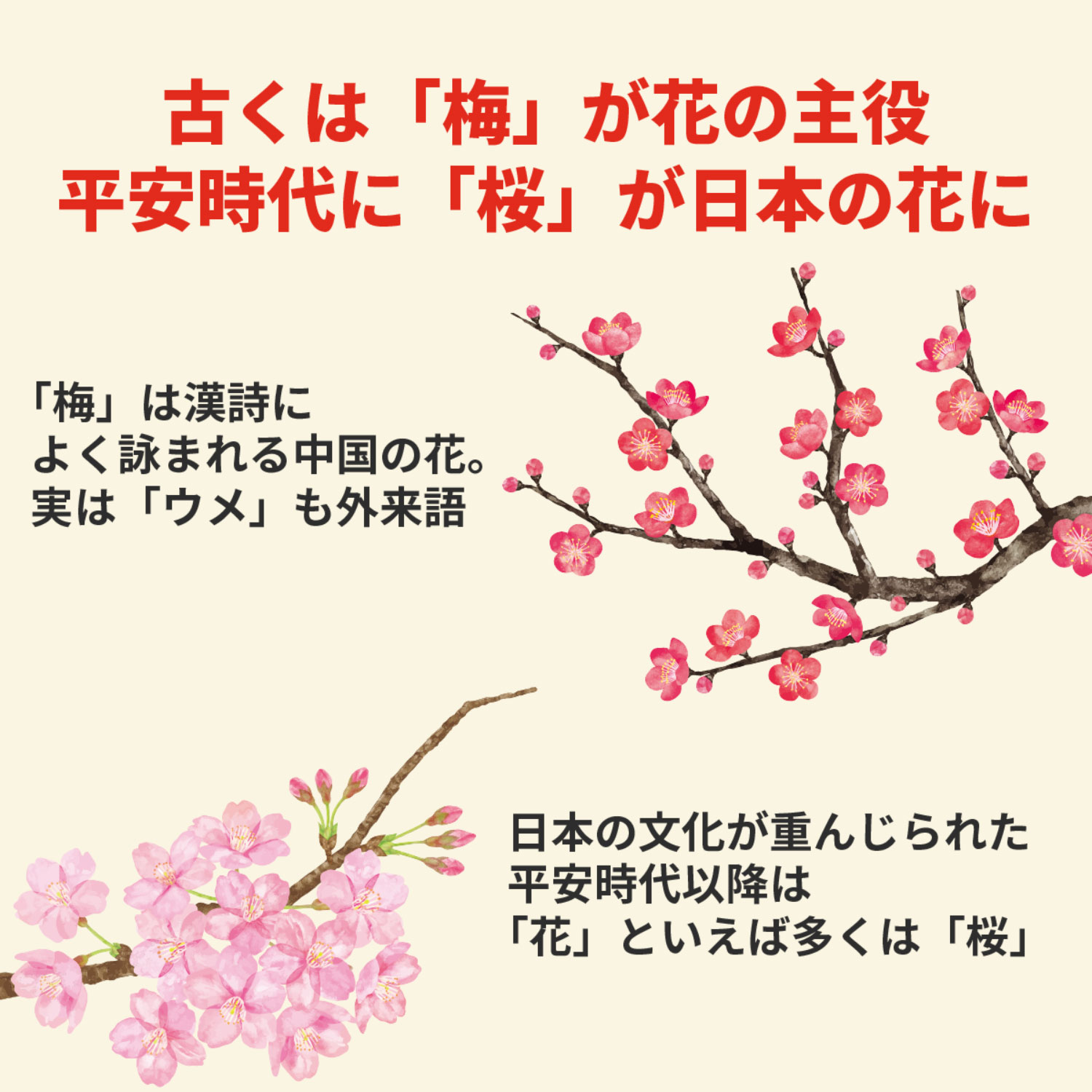 桜」は「咲く」ものの代表選手！？ 潔く散るさまも人の心をつかむ日本