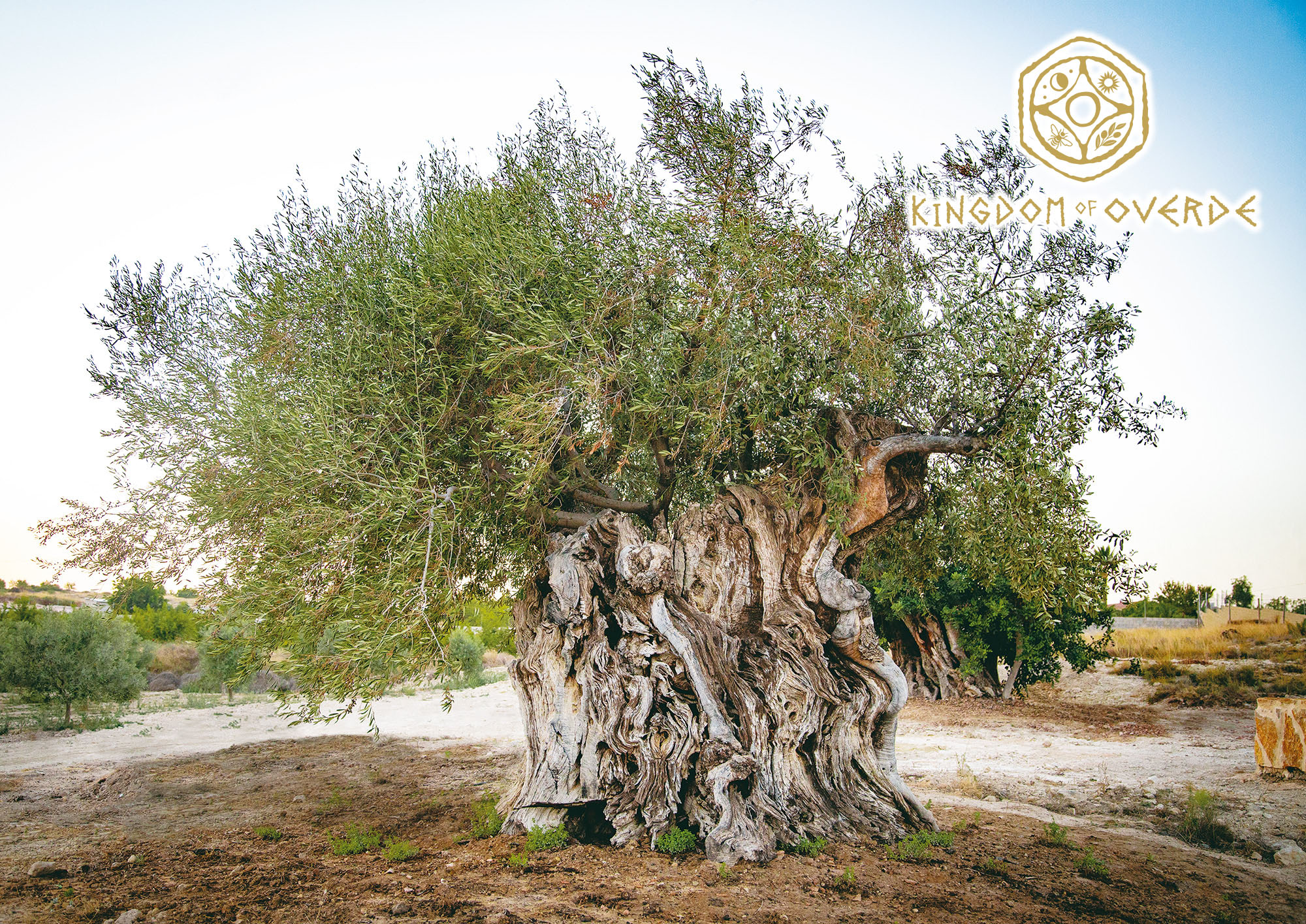 SantéAge [サンテアージュ] - NINAPHARM JAPON｜ポジティブ