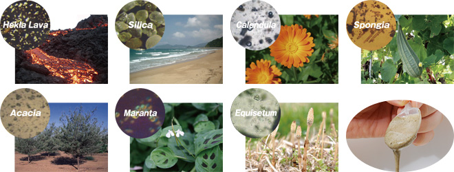 2Bバイオトリートメント｜東京・福岡・鹿児島でブラジリアンワックスや