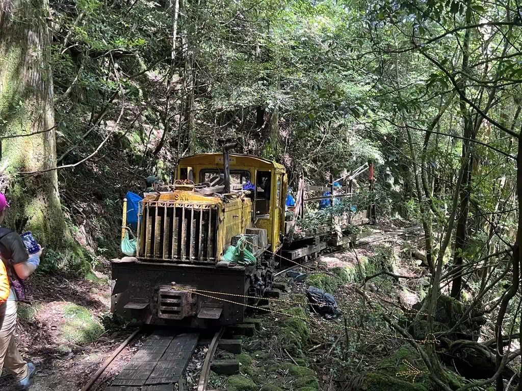 縄文杉登山 | 屋久島ガイドオフィス山岳太郎