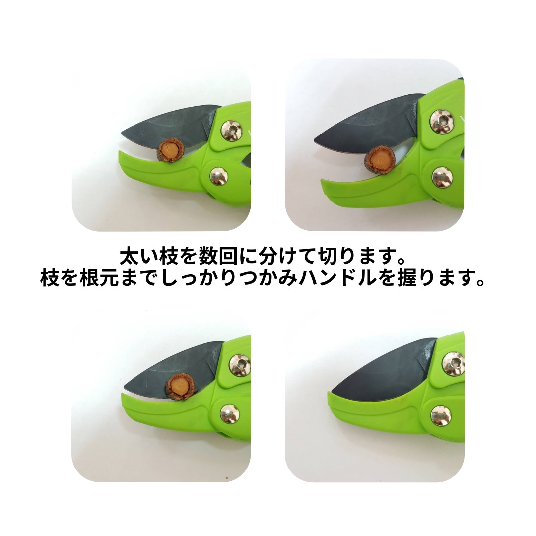 A826 鋏（ハサミ） 剪定鋏 フッ素コーティング 軽量剪定鋏 ラチェット