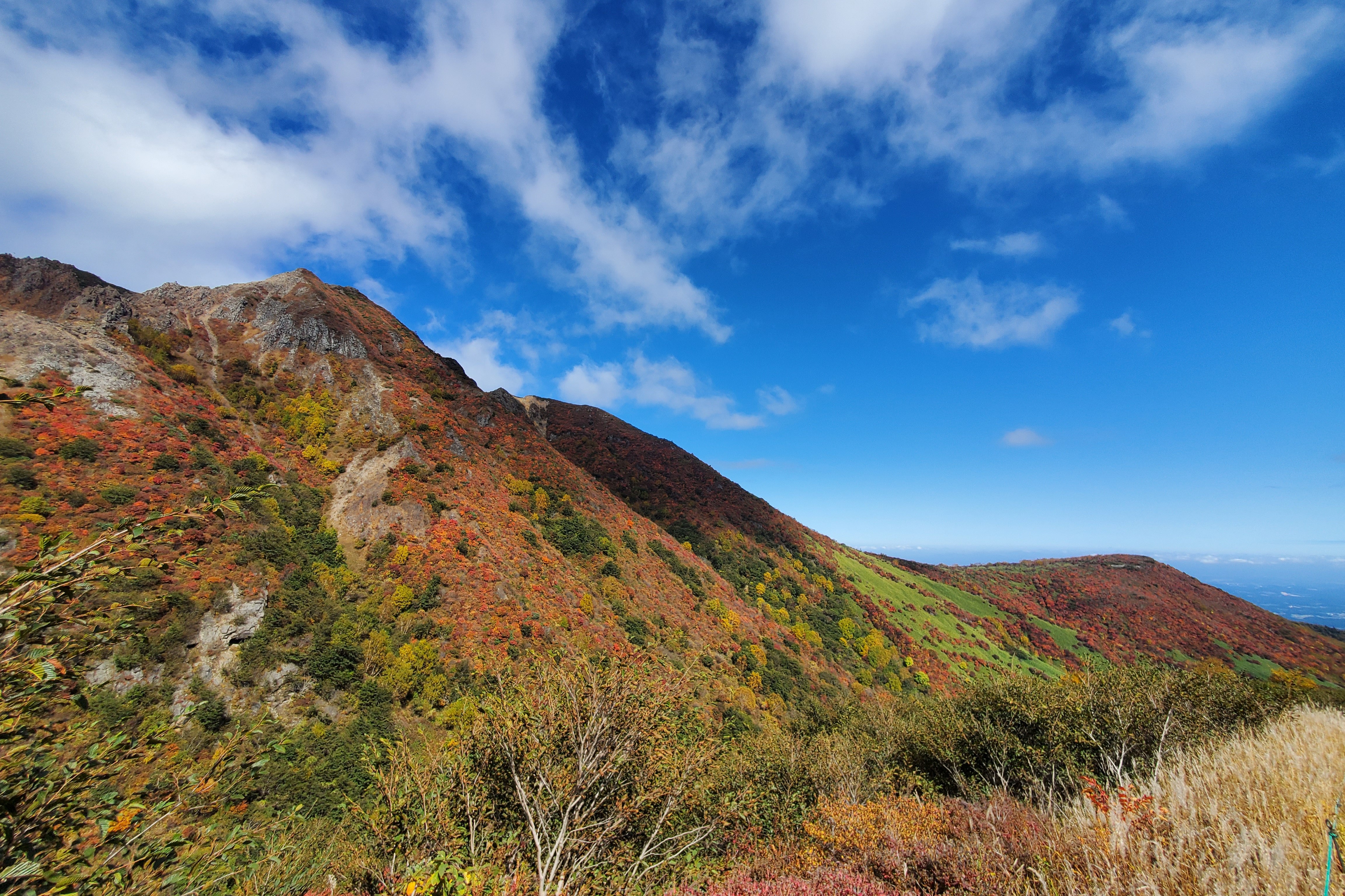 紅 葉 情 報 | お知らせカテゴリ | 【公式】那須高原の宿 山水閣