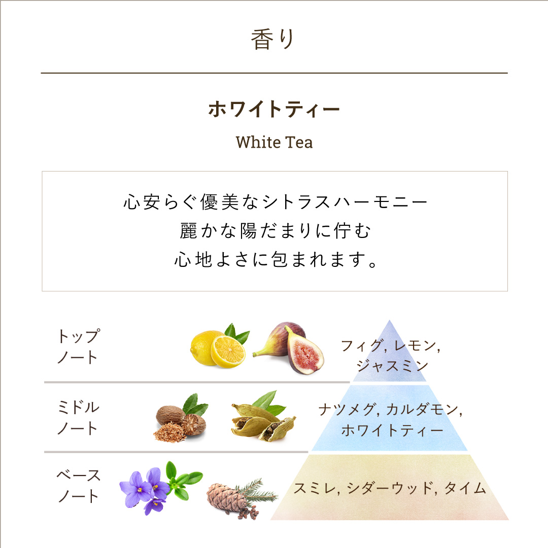 3STEP ボディケアキット (ホワイトティー)』 | SABON (サボン)