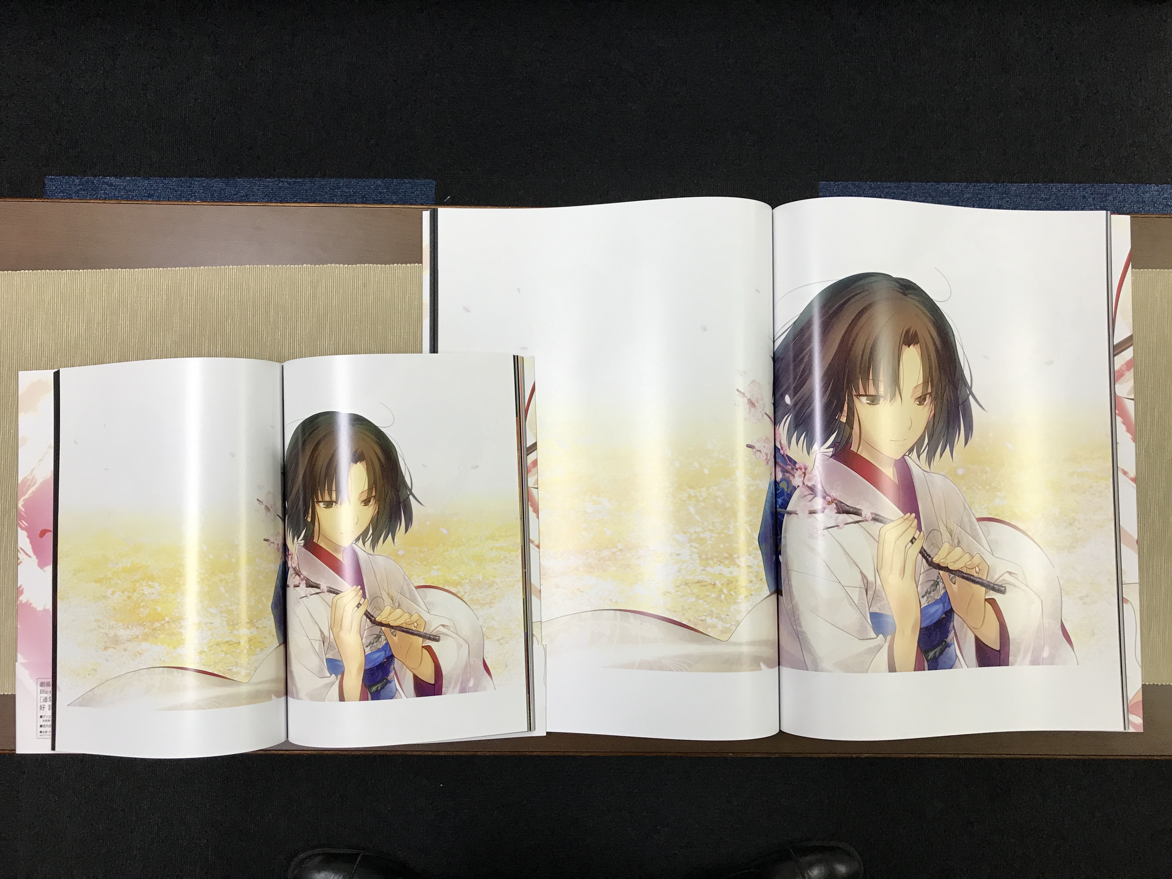 劇場版「空の境界」公開10周年特別上映記念】画集『空の境界 the