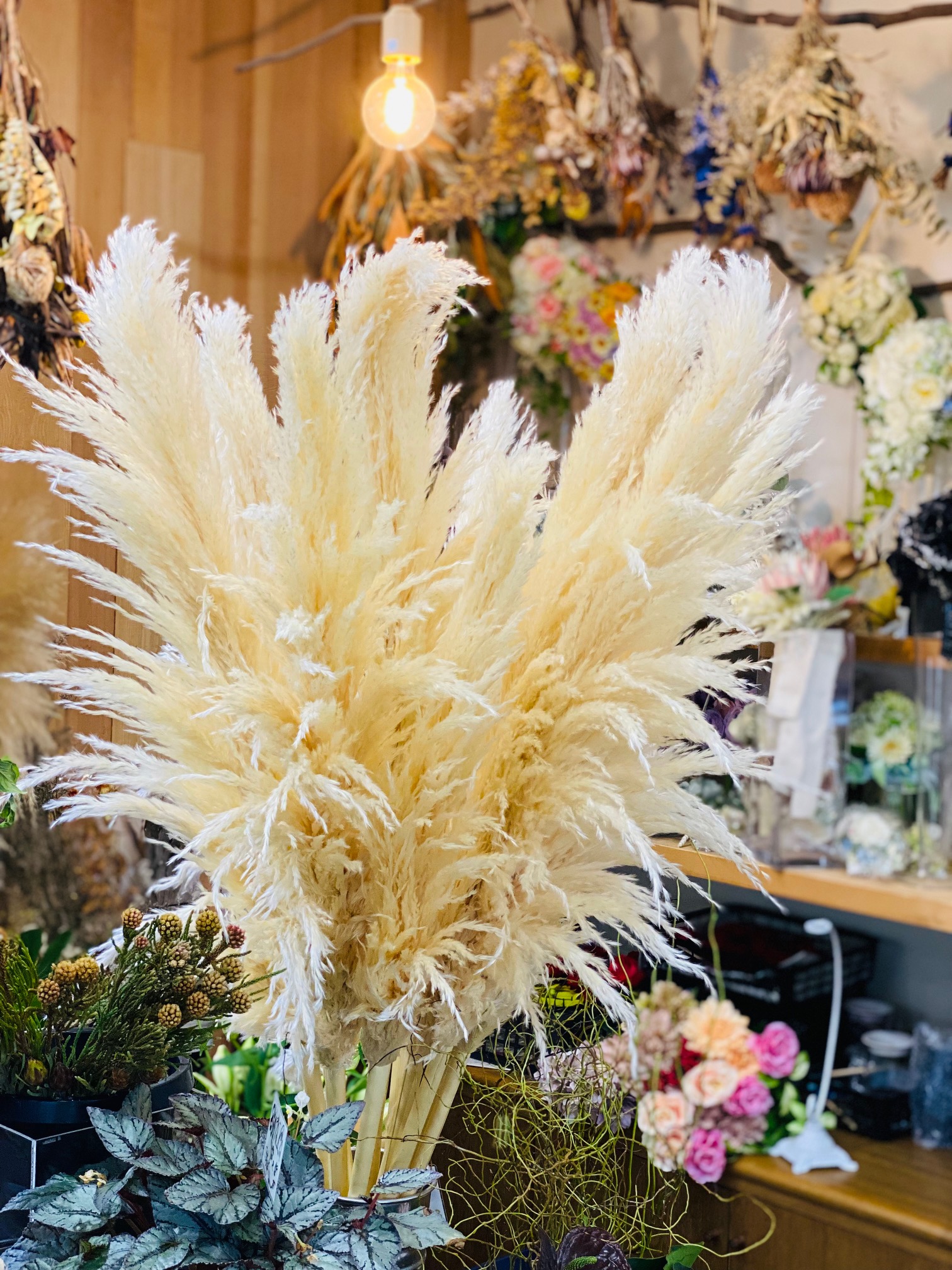 ふわふわパンパス | 花屋ブログ | 群馬県高崎市の花屋 彩季舎に