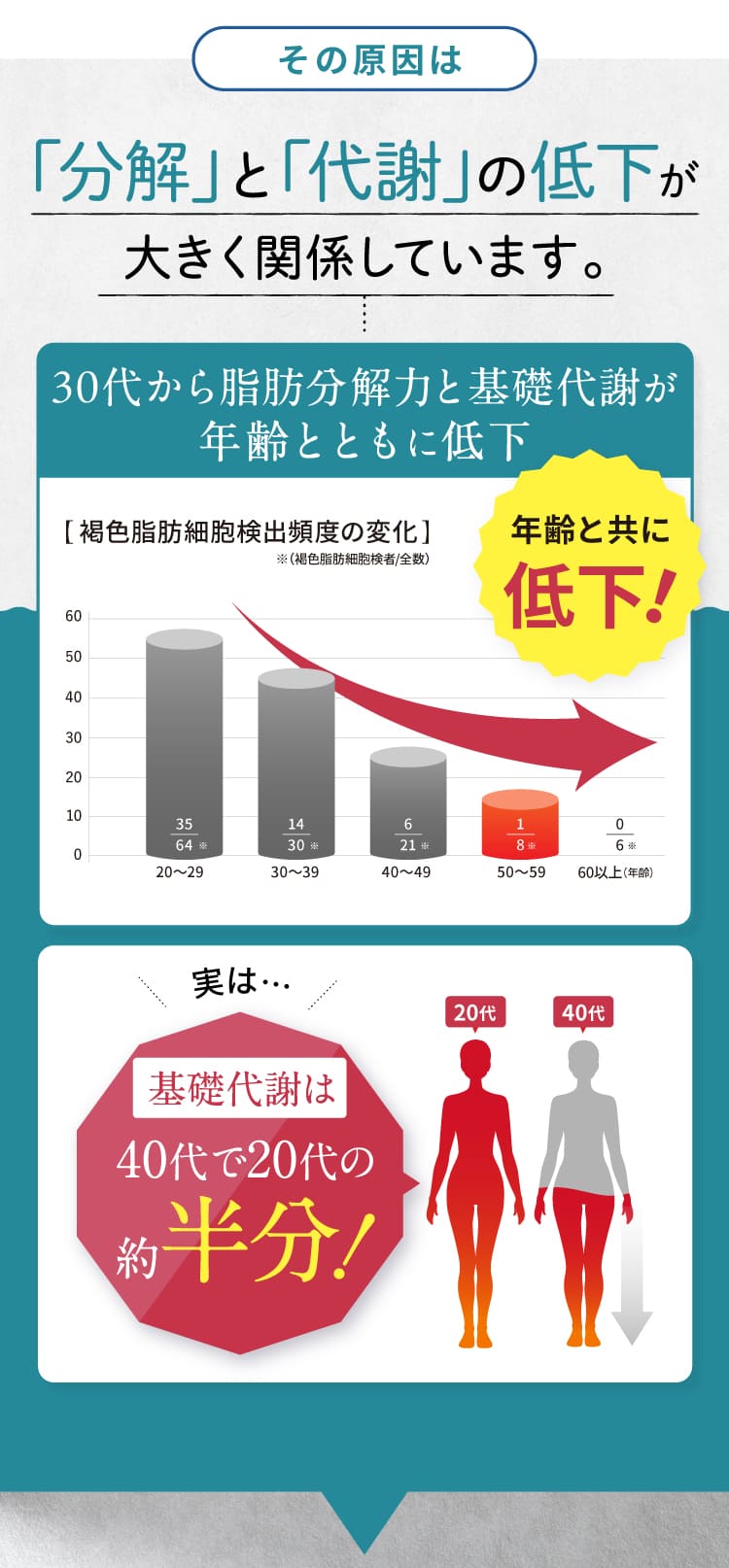 公式【バニボ】脂肪が気になる方に | さくらの森 公式通販