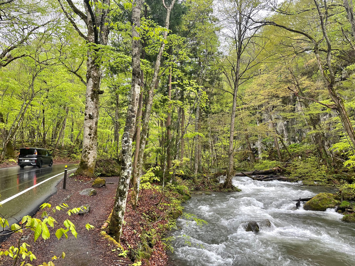 青森の奥入瀬渓谷が予想を超えて良いところだった！ - さくら個別が