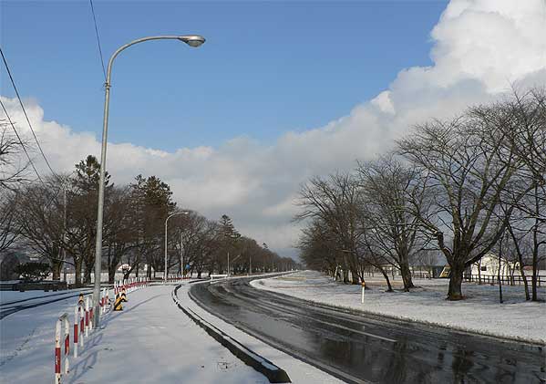 静内二十間道路桜並木を写真で紹介2007
