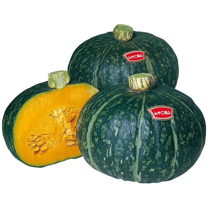 神奈川 伊藤農園カボチャ みやこ・雪化粧・プッチィーニ 詰め合わせ