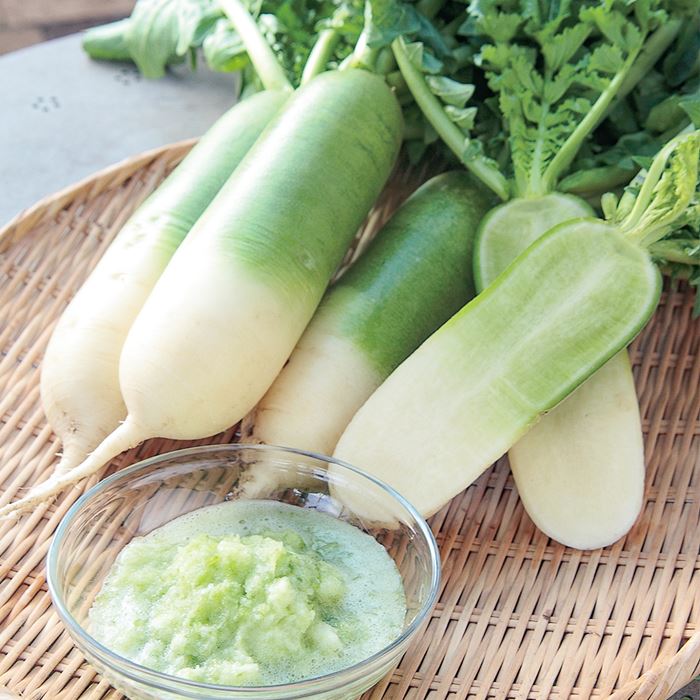 ミニダイコン 江都青長｜種（タネ）,球根,苗,資材,ガーデニンググッズ