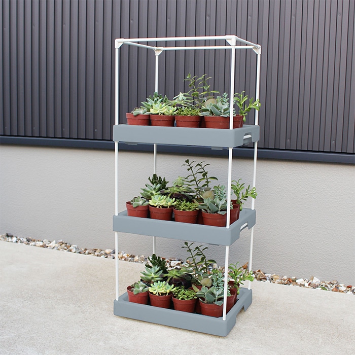 多肉マンション｜種（タネ）,球根,苗,資材,ガーデニンググッズの通販は