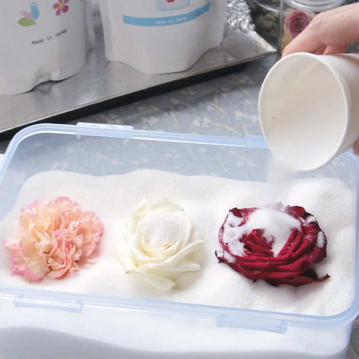 とても綺麗な色に仕上がるドライフラワーのためのシリカゲル｜種（タネ