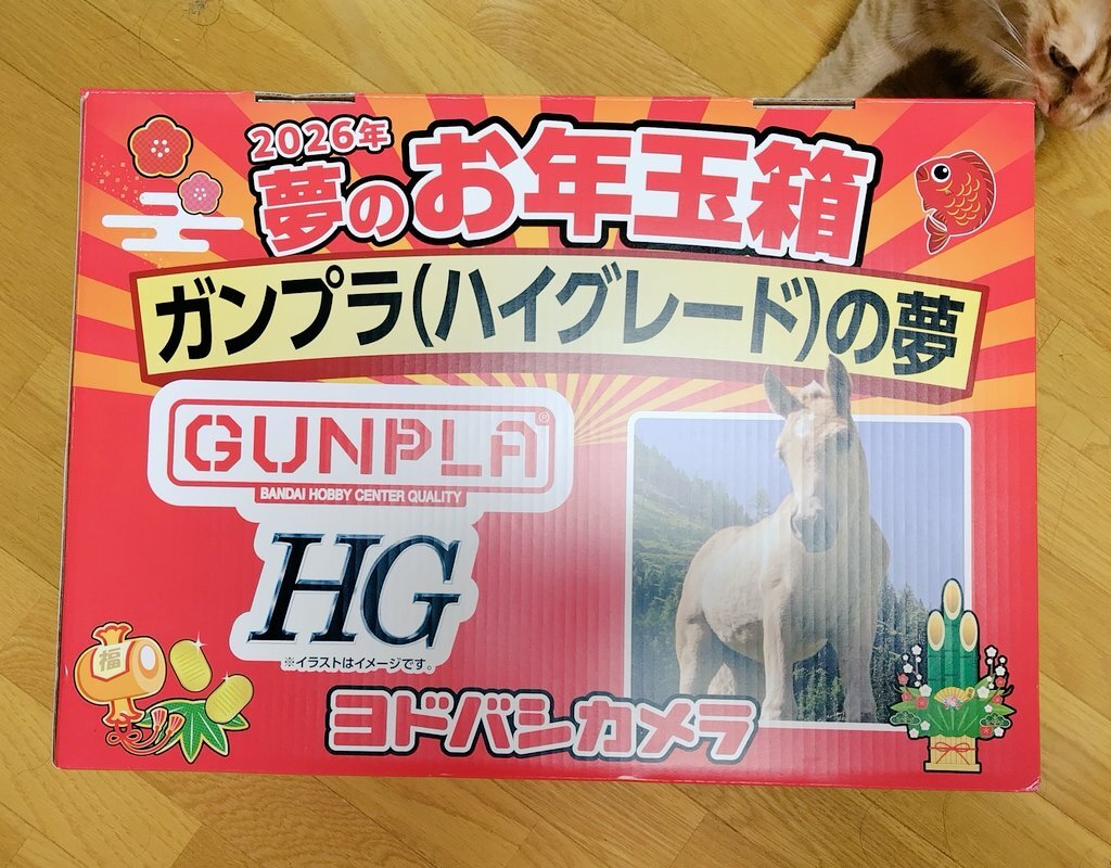 ヨドバシガンプラ福袋2026】ハイグレードとMGの中身ネタバレ！神ツール