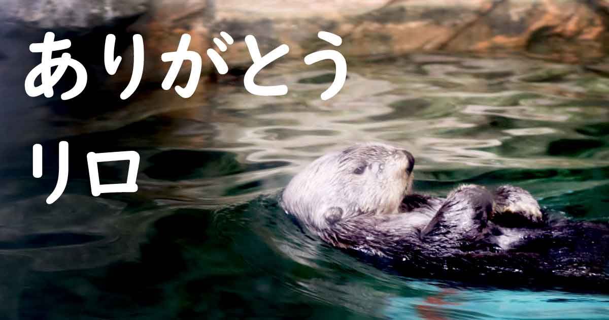 リロ、ありがとう マリンワールド海の中道でラッコ追悼企画 | ニュース