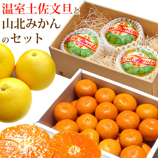 山北みかん2.5kgと温室土佐文旦3玉のセット