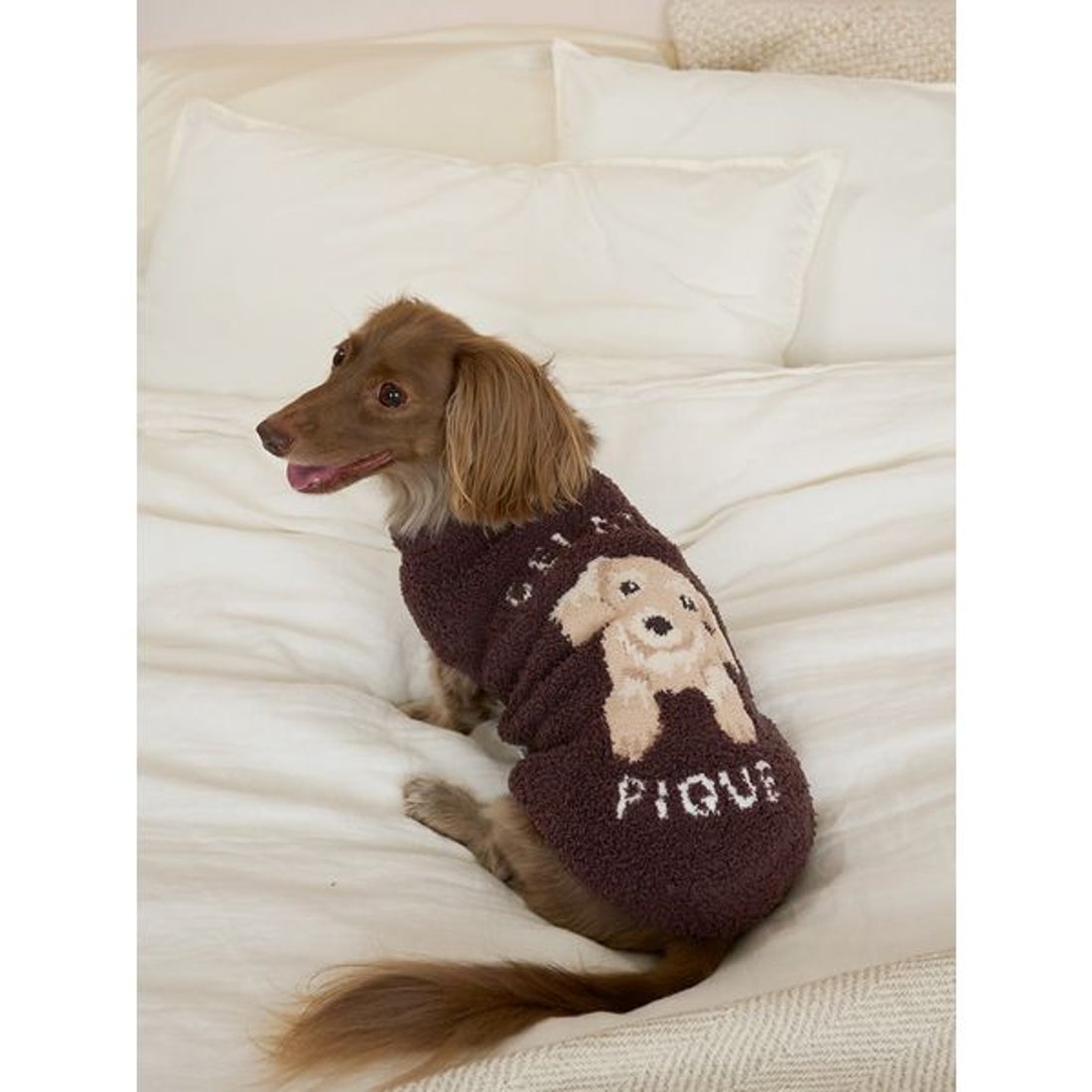 ジェラートピケ gelato pique 【CAT&DOG】ベビモコダックスフンド