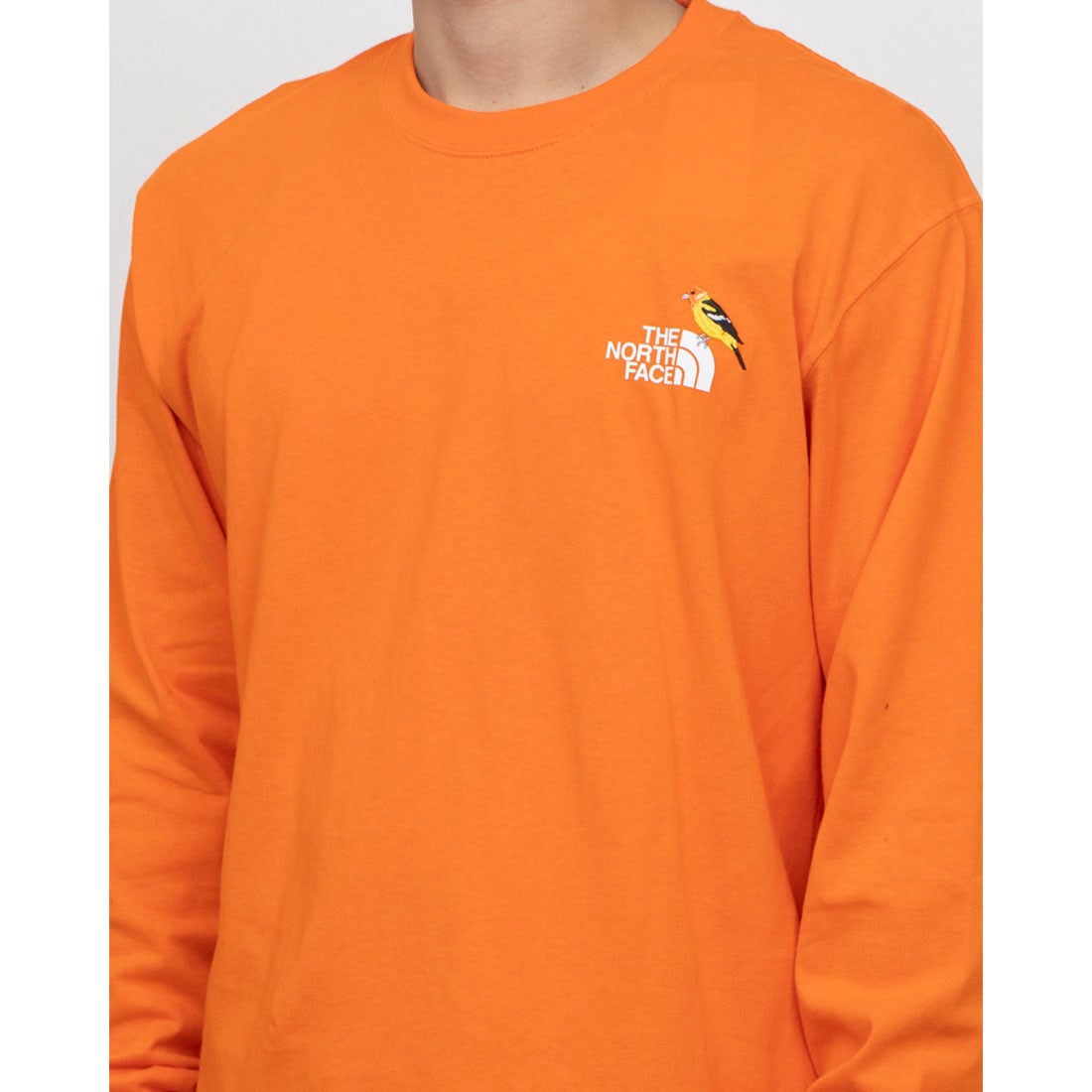 ザ・ノース・フェイス THE NORTH FACE メンズ アウトドア 長袖Tシャツ