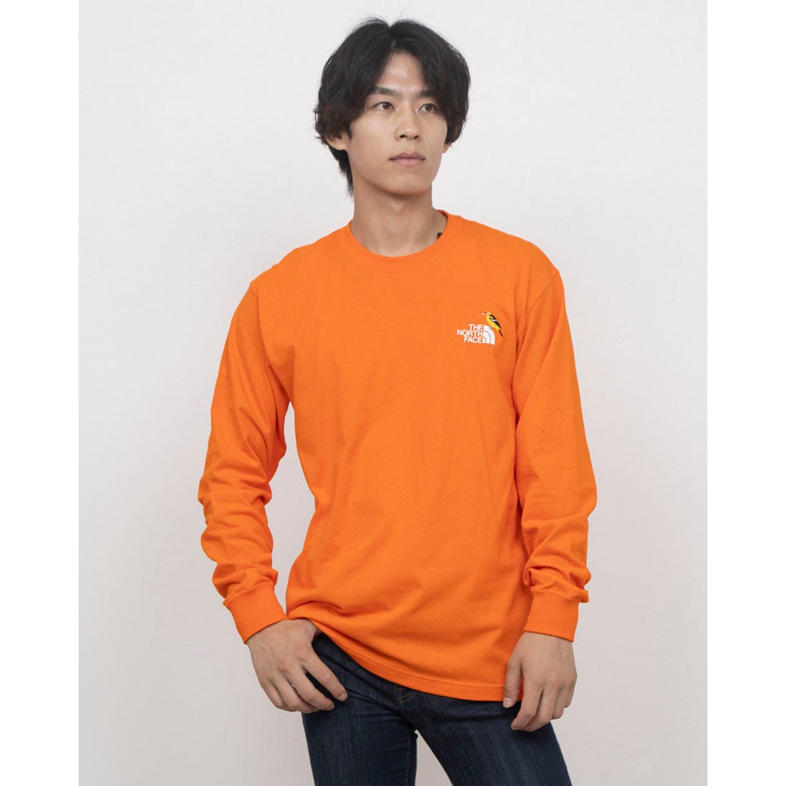 ザ・ノース・フェイス THE NORTH FACE メンズ アウトドア 長袖Tシャツ