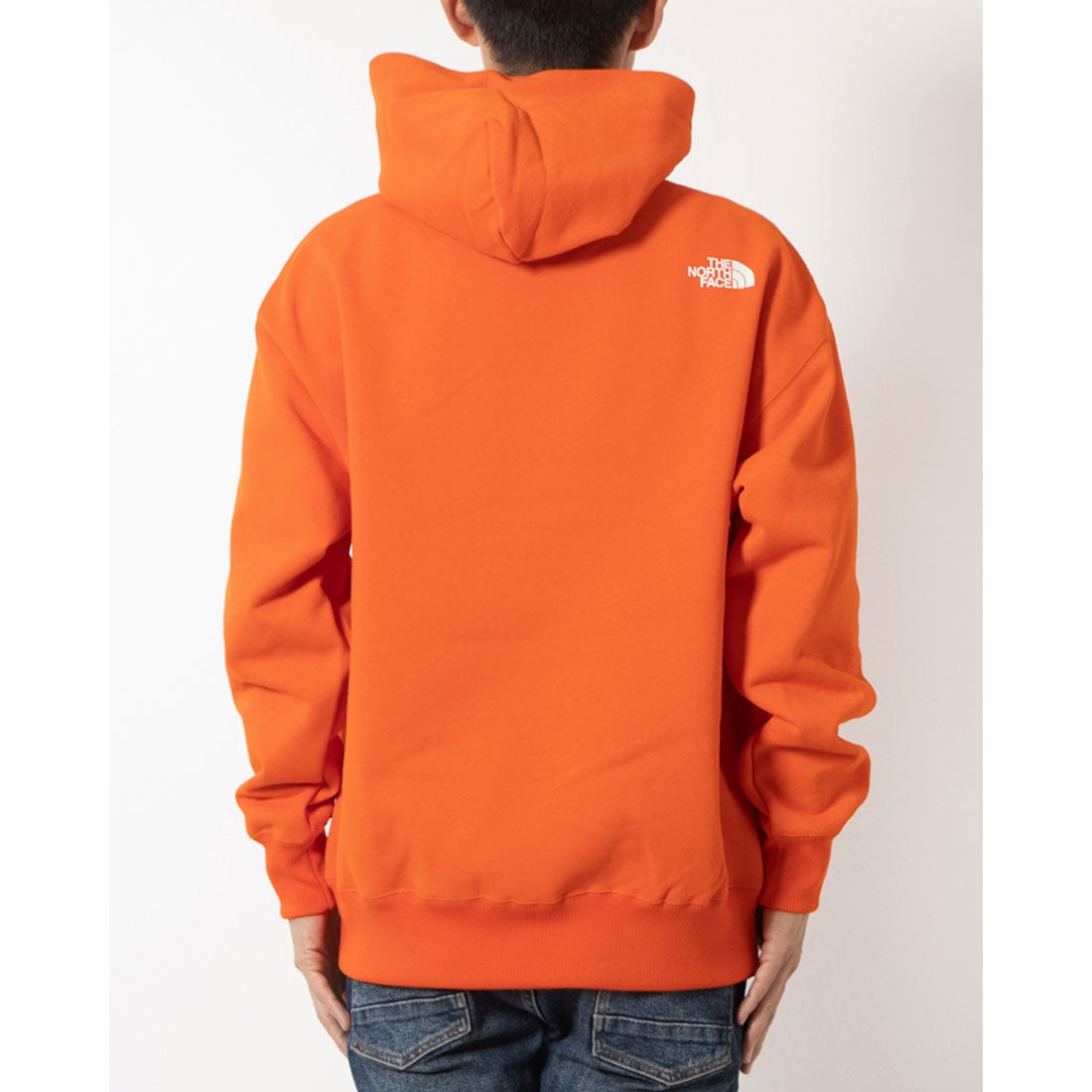 ザ・ノース・フェイス THE NORTH FACE メンズ スウェットパーカー Zoo