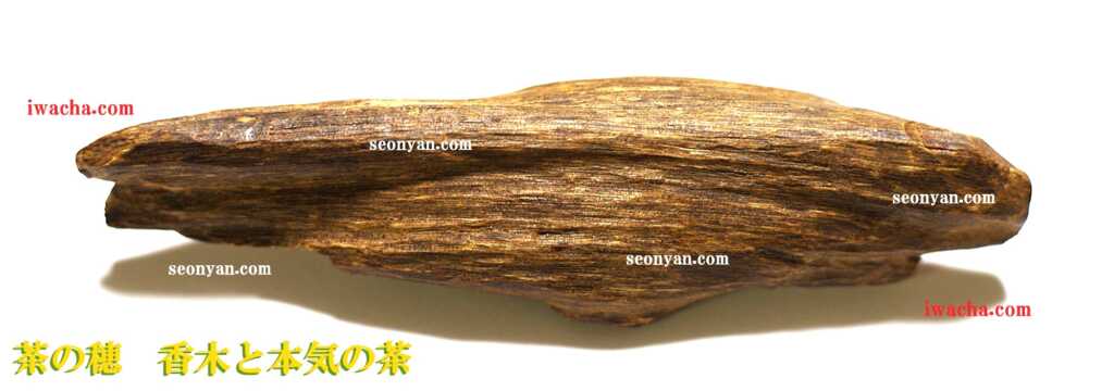 伽羅の全貌 沈香との違い茶の穂 香木と本気の茶