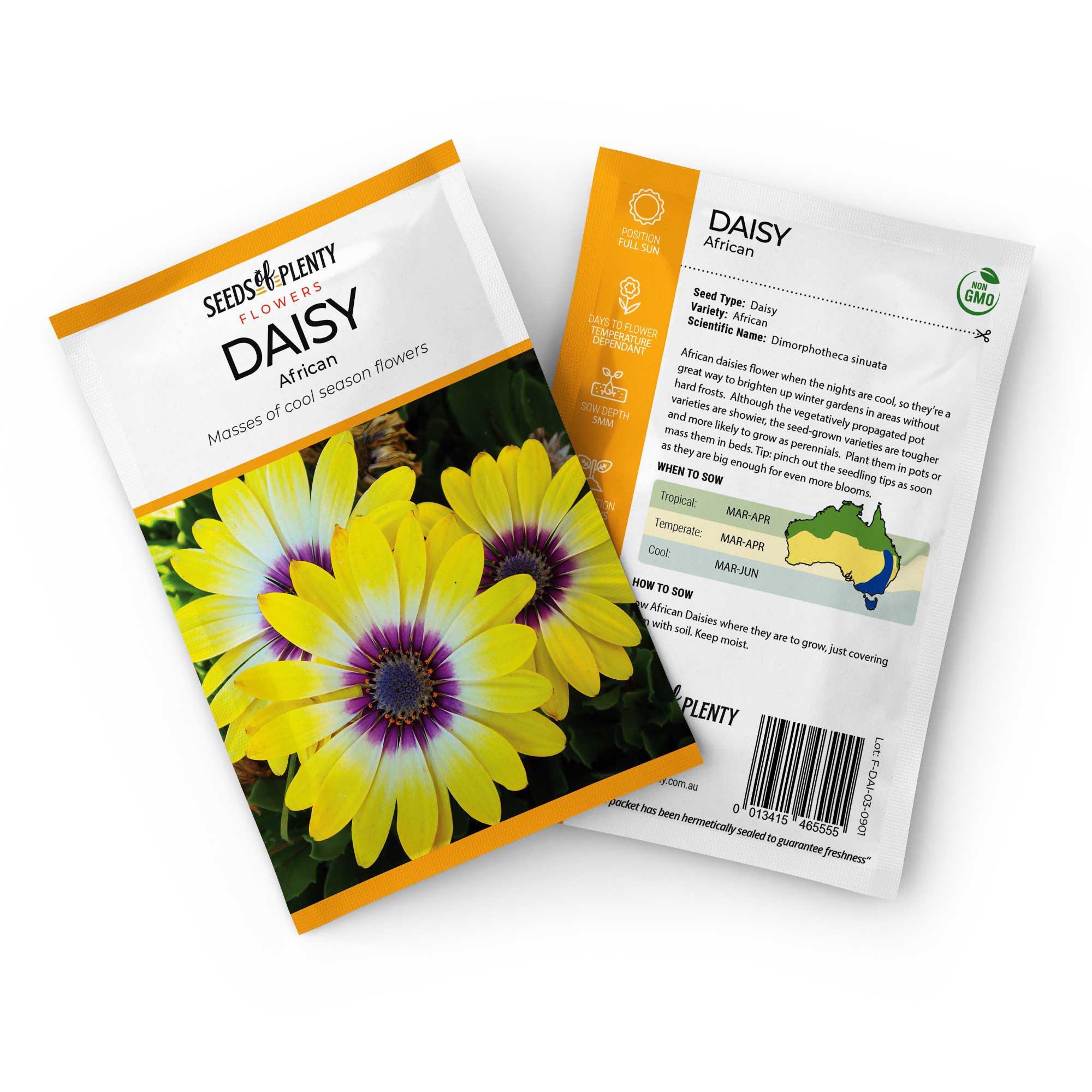 DAISY - African | Buy Online at Seeds Of Plenty – Seeds of Plenty