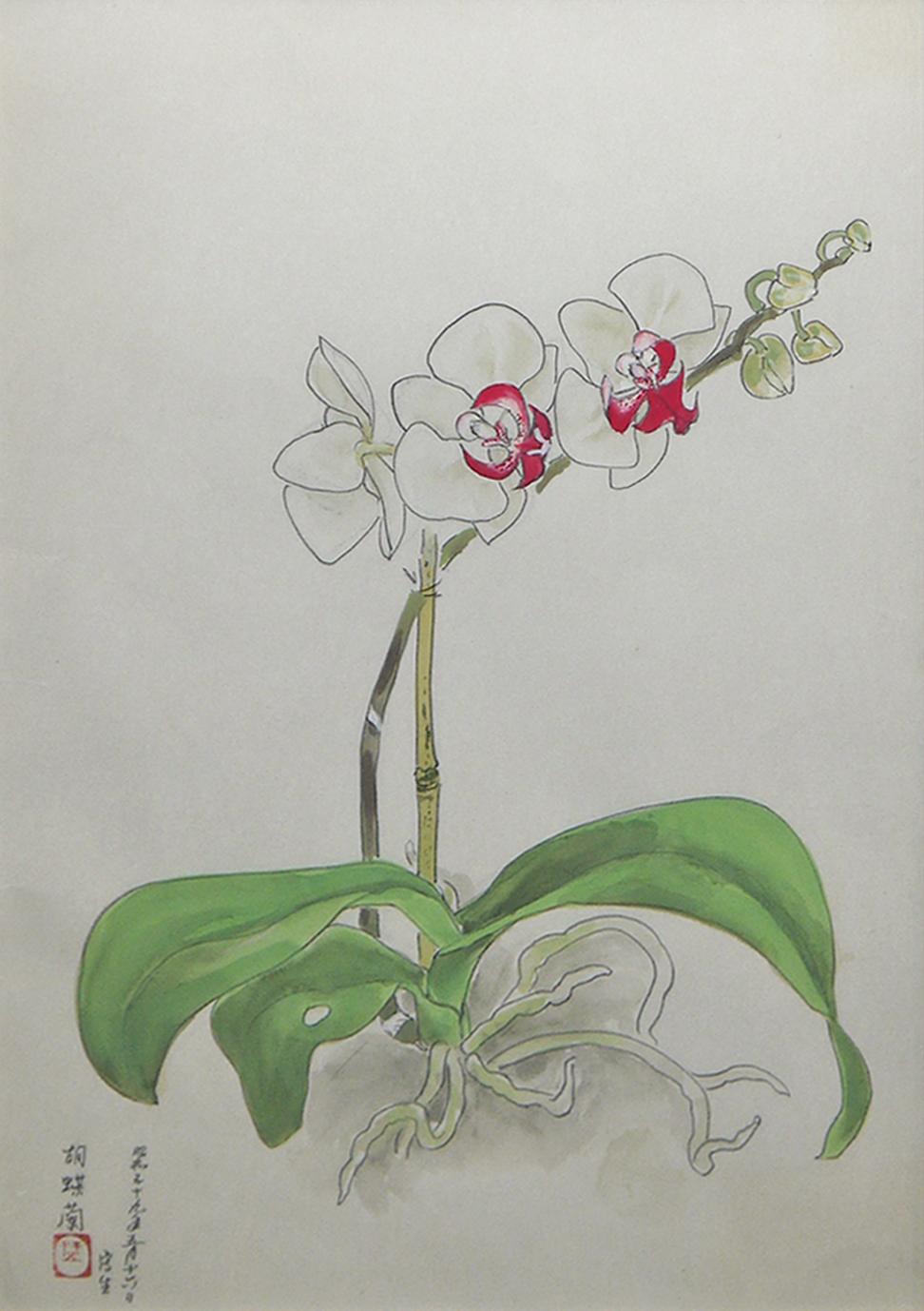 日本画8号大 「胡蝶蘭」 | ｜正光画廊