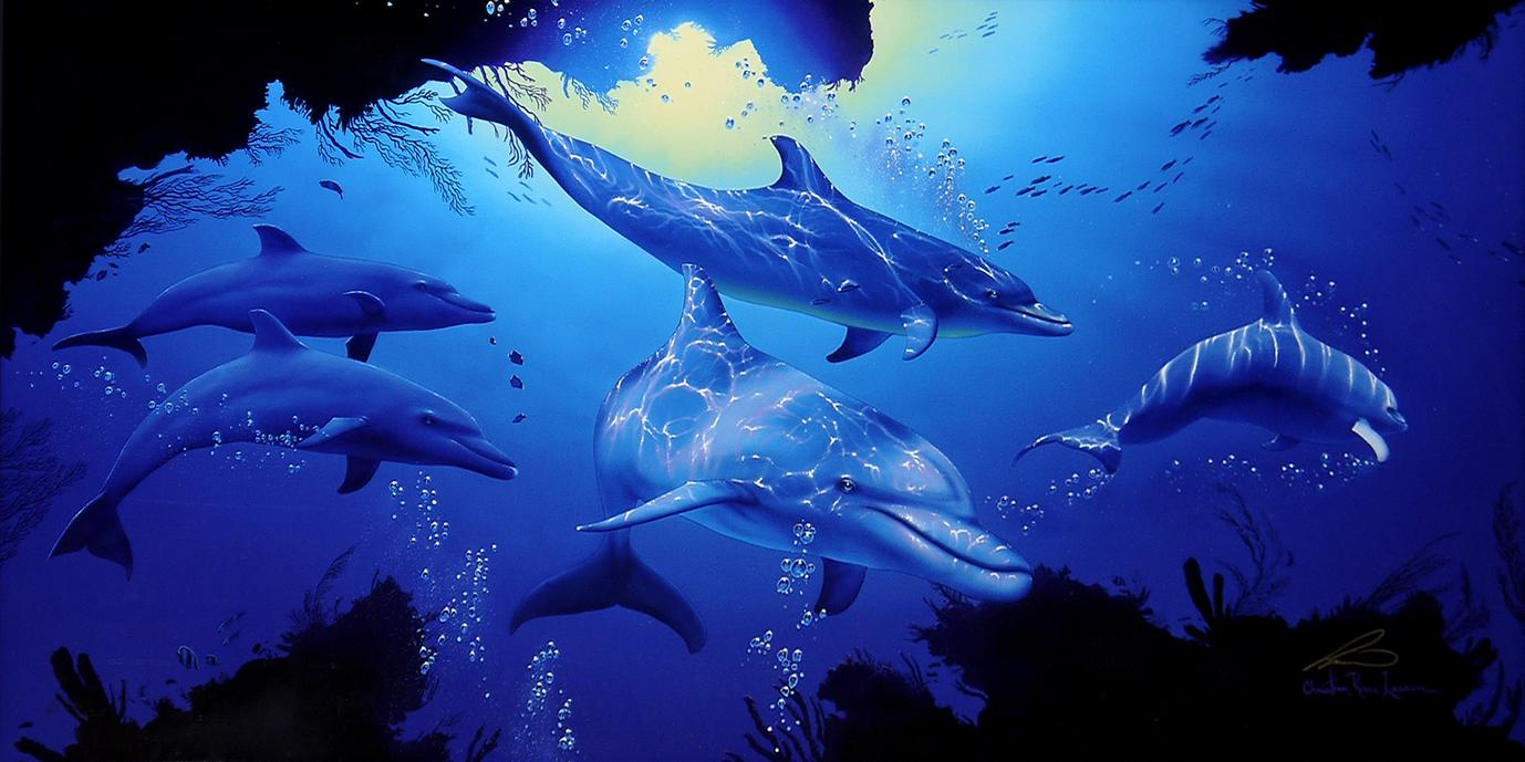 ネザル | ｜正光画廊