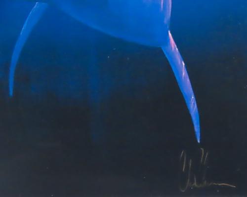 ロードオブザシー（S） | ｜正光画廊