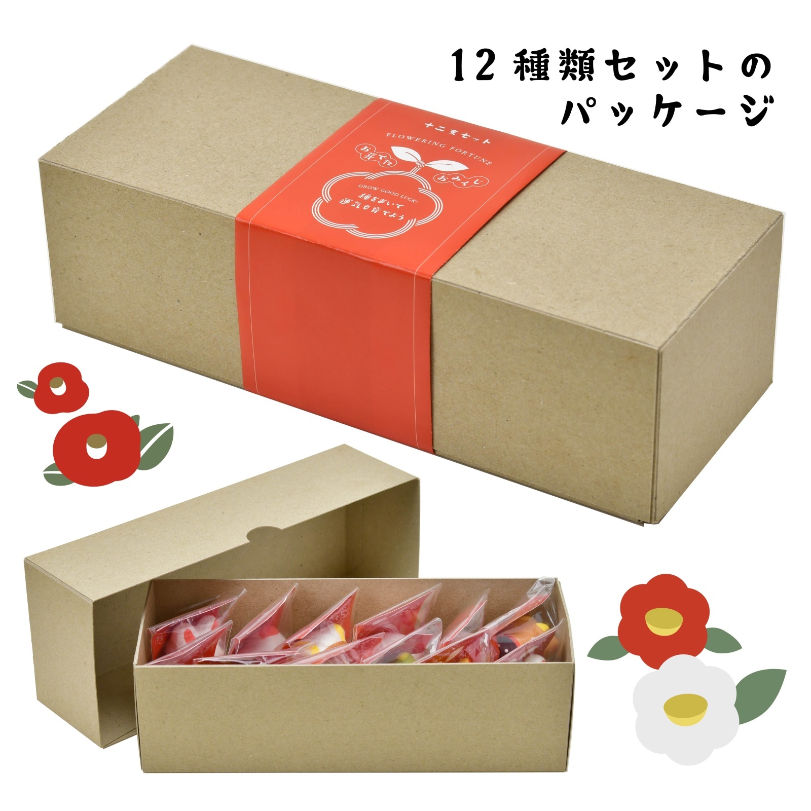 お芽でたおみくじ 干支set 十二支 各ひとつ - SEISHIN PLUS