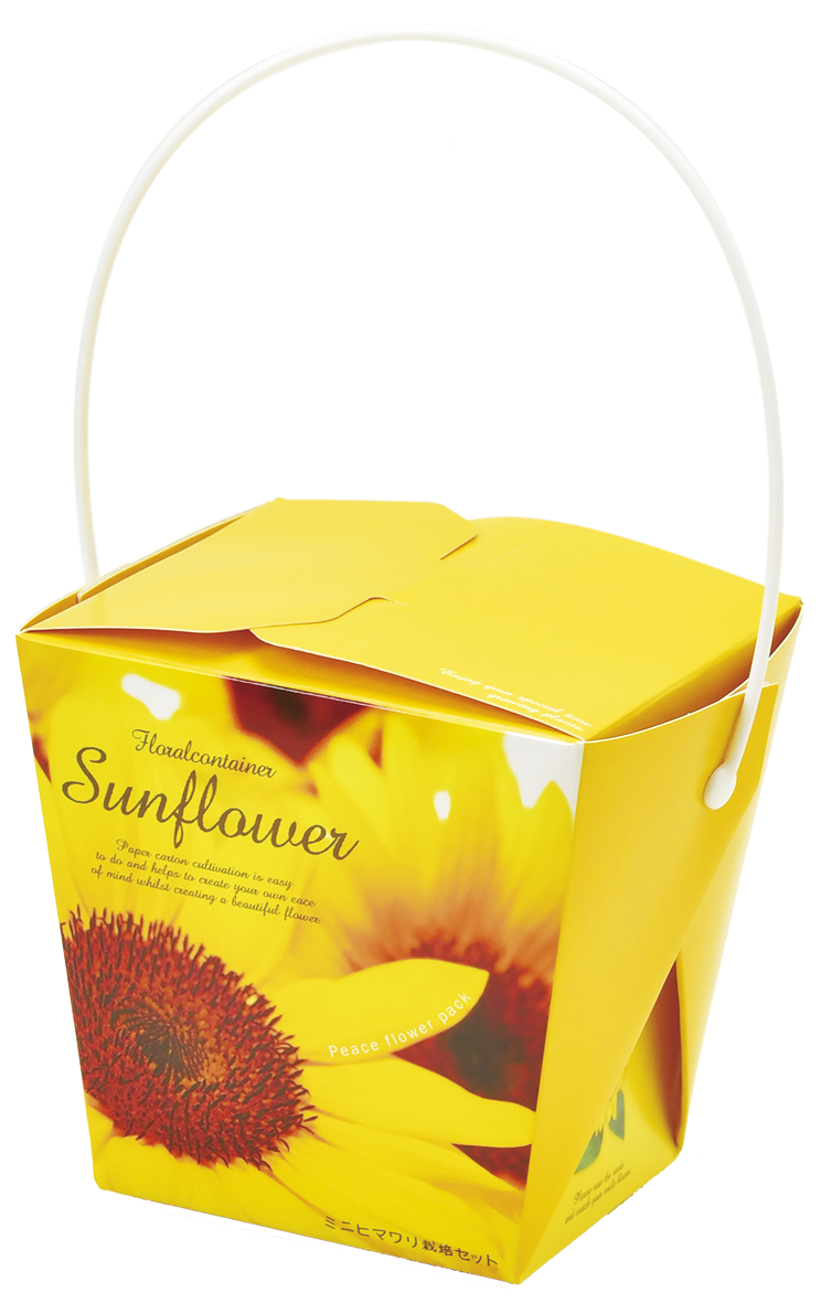 Smile Sunflower Floral Container - 聖新陶芸株式会社｜栽培キットの