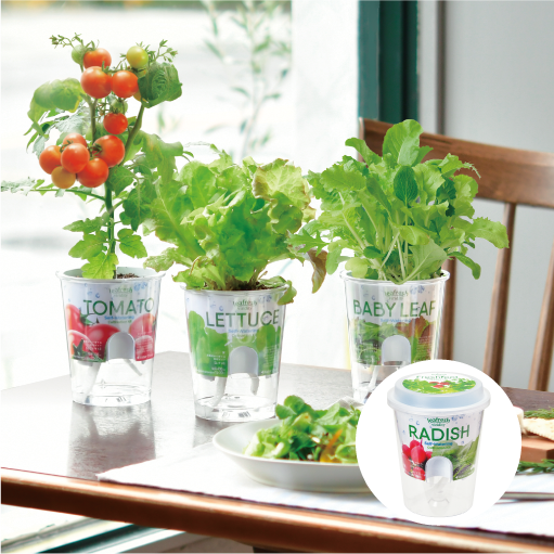 Flesh Feel - 聖新陶芸株式会社｜栽培キットの企画・製造・販売