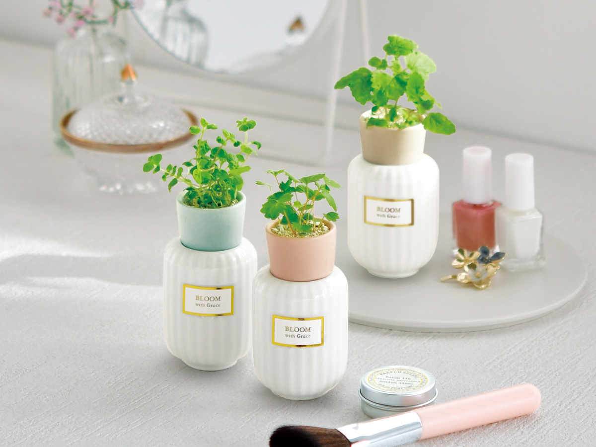 Botanical Fragrance - 聖新陶芸株式会社｜栽培キットの企画・製造・販売