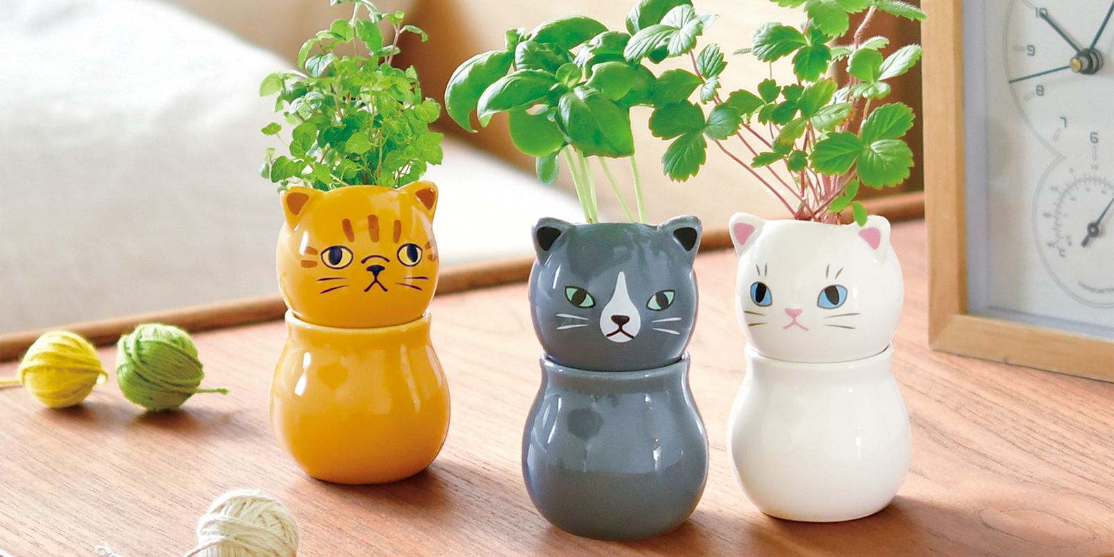 COROCORO cat - 聖新陶芸株式会社｜栽培キットの企画・製造・販売