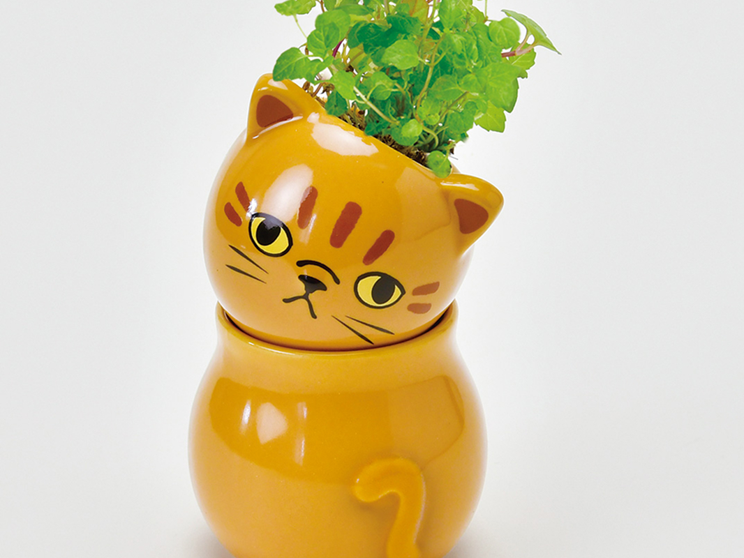 COROCORO cat - 聖新陶芸株式会社｜栽培キットの企画・製造・販売