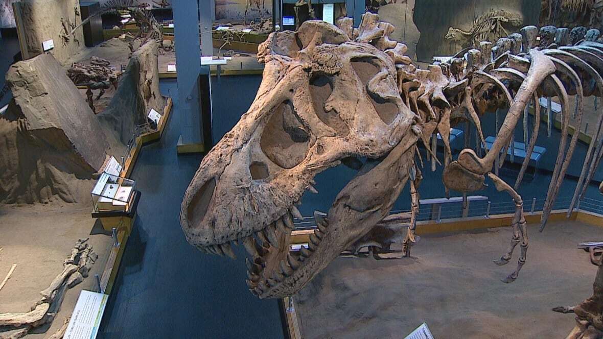 カナダの博物館が3Dプリンターでティラノサウルスの化石のレプリカを