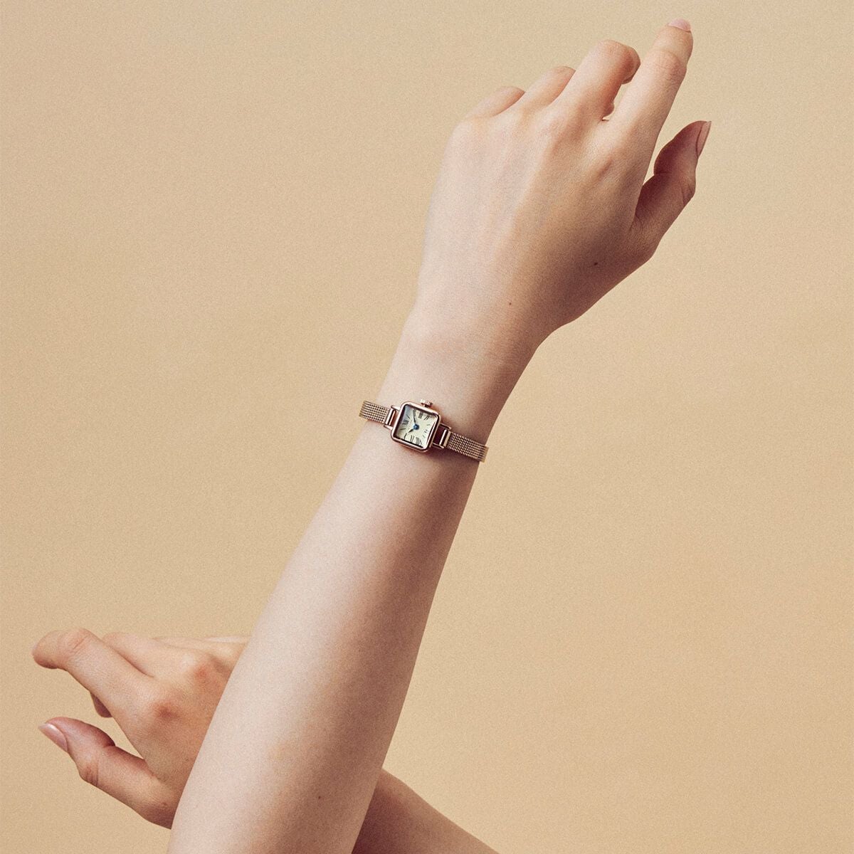 オリジナルトートプレゼント】MATOW / マトウ Tsuki 淡月 たんげつ